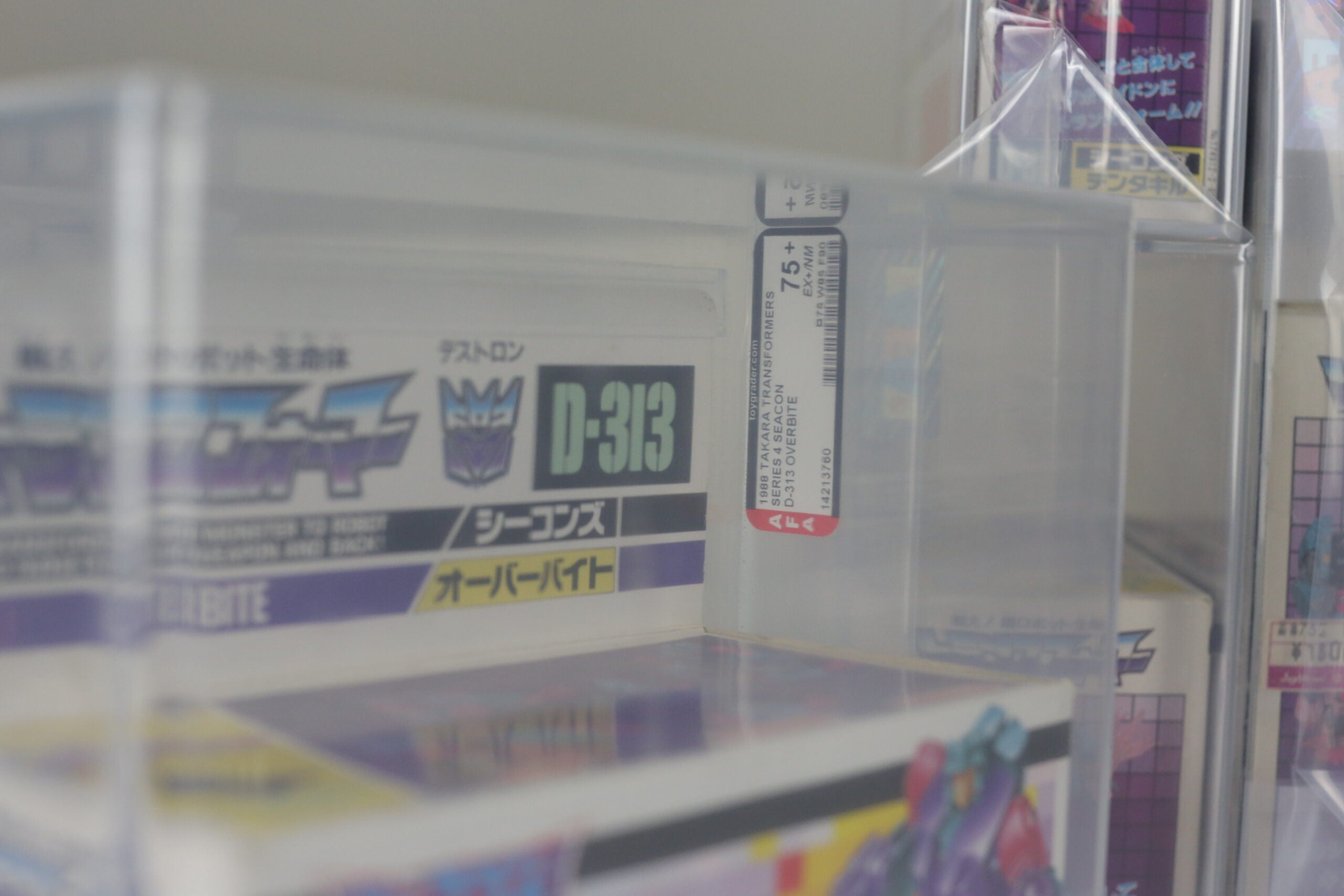 G85C6517